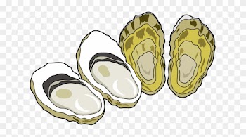 Oyster Clip Art - Oyster Clipart