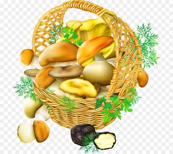 Oyster Mushroom Edible mushroom Basket Clip art - Yellow simple mushroom basket decoration pattern 