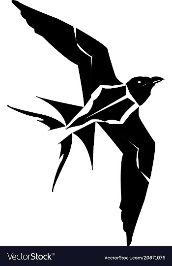 P bird vector image