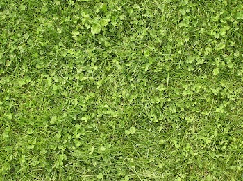 P8150005.JPG