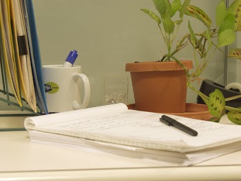 P8311514.JPG