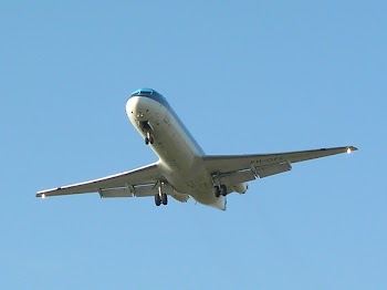 PA100040b.jpg