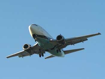 PA100074b.jpg
