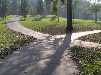 PA110049.JPG