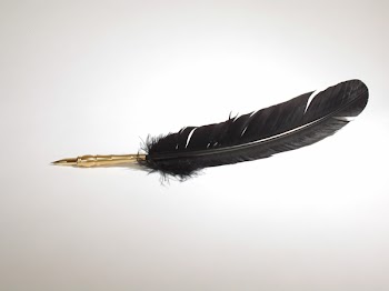 PA232271.jpg