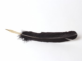 PA232283.jpg