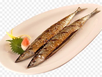 Pacific saury Barbecue Fish - A turtle saury 