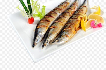 Pacific saury Barbecue Seafood Japanese Cuisine Capelin - Barbecue saury material 