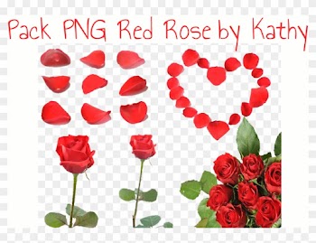 Pack Png Red Rose By Kathy By Fanyfantastic - Garden Roses