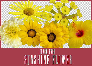 Pack PNG] Sunshine Flower by WhiteAngled on DeviantArt