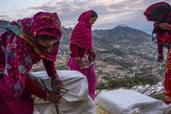 Packing Lokta bark paper, Kailash, | Free Photo - rawpixel