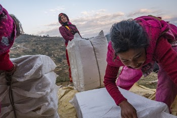 Packing Lokta bark paper, Kailash, | Free Photo - rawpixel