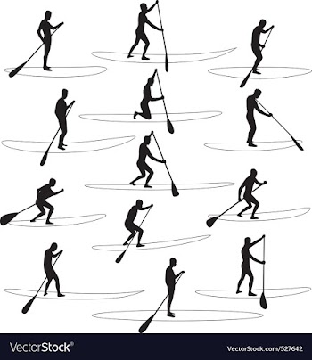 Paddle boarding silhouettes vector image