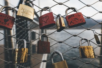 Padlocks Locked On Chain Link Fence