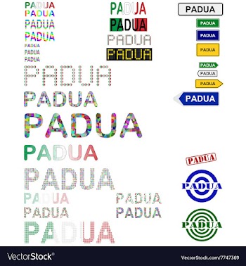 Padua text design set vector image