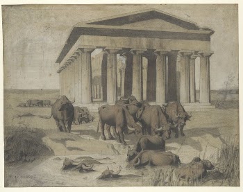 Paestum | Free Photo - rawpixel