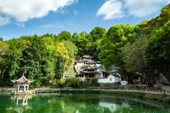 Pagoda in Bod of Water Near Trees