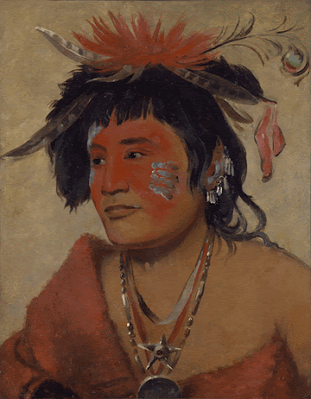 Pah-shee-n&aacute;u-shaw, a Warrior (1831) painting | Free Photo - rawpixel