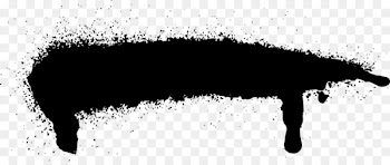 Paint Black and white - spray paint 