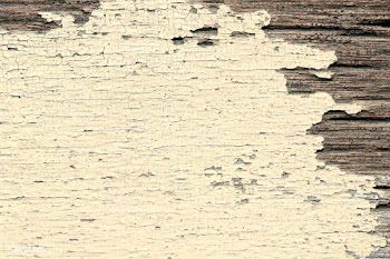 Paint peeling off weathered wood | Free stock vector - 514025
