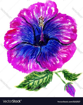 Painted Hibiscus4 vector image