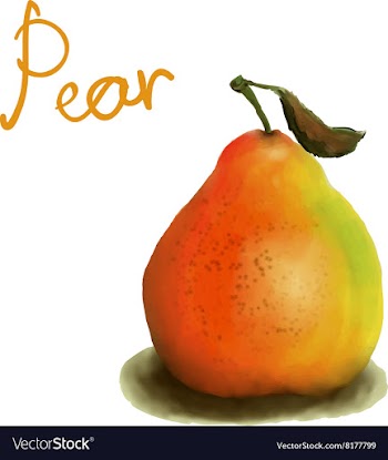 Painted pear vector image