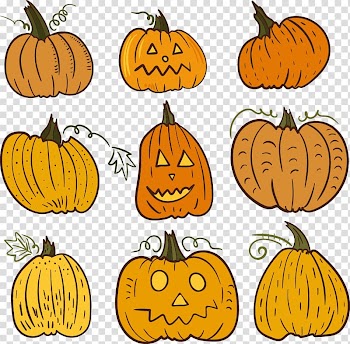 Painted pumpkin transparent background PNG clipart