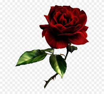 Painted Red Rose Clipart - Dark Red Rose Png