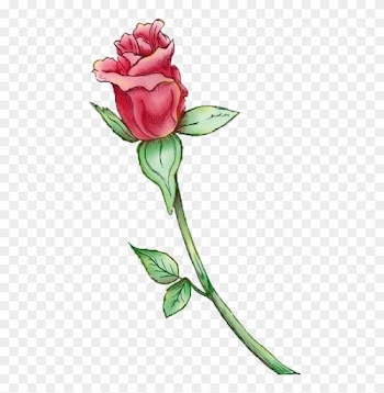 Painted Rose Bud Painted Rose Bud - Rose