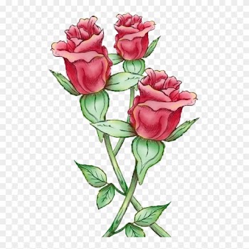 Painted Rose Bud - Rose