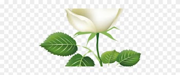 Painted Rose Buds Png