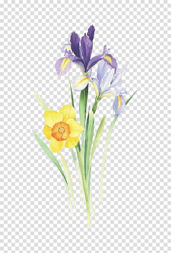 Painting Art Drawing Illustration, Watercolor flower transparent background PNG clipart
