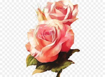 Painting, Art, Watercolor Painting, Flower, Rose PNG