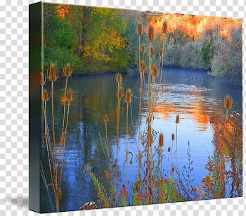 Painting Bayou Acrylic paint Gallery wrap Wetland, painting transparent background PNG clipart