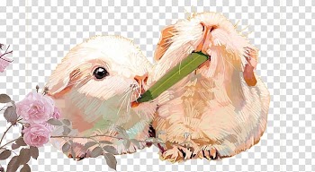 Painting, Bunny painted transparent background PNG clipart