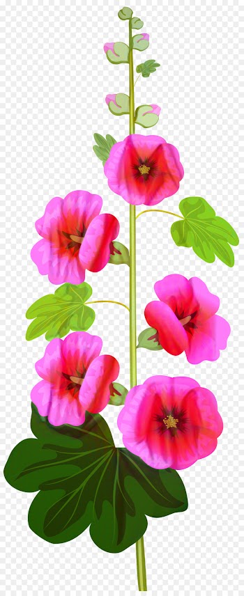 Painting, Drawing, Flower, Flowering Plant PNG