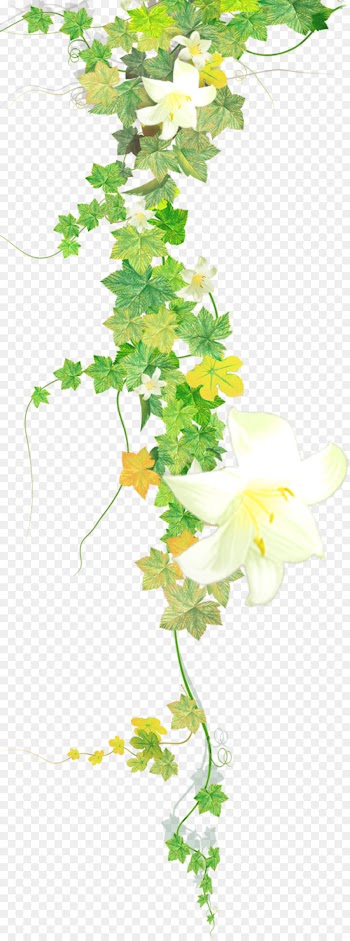 Painting, Drawing, Picture Frames, Flower, Plant PNG