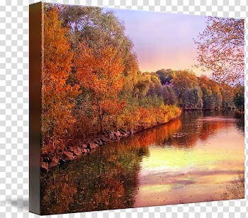 Painting Gallery wrap Canvas River State park, painting transparent background PNG clipart
