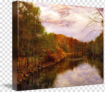 Painting Gallery wrap River Frames Bayou, swan lake transparent background PNG clipart