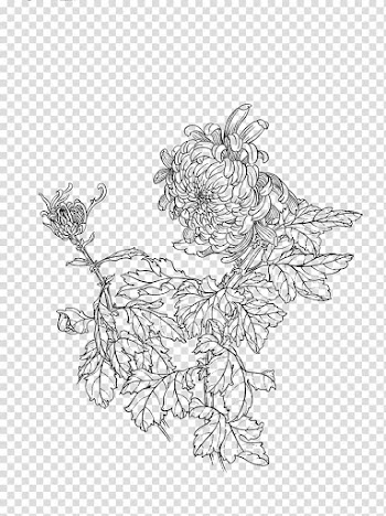 Painting Gongbi Line art u767du63cfu753b, chrysanthemum transparent background PNG clipart