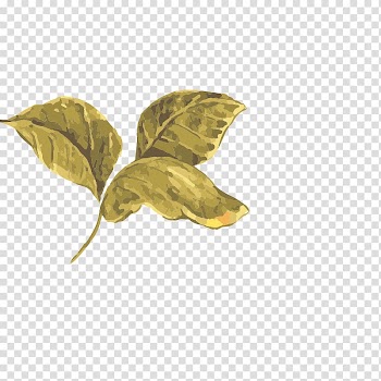 Painting, Hand-painted flowers,Beautiful,watercolor,Oil painting effect,Flowers,Leaves transparent background PNG clipart