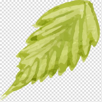 Painting, Hand-painted flowers,Beautiful,watercolor,Oil painting effect,Flowers,Leaves transparent background PNG clipart