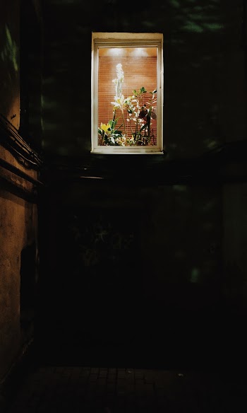 Painting Hanging on Wall