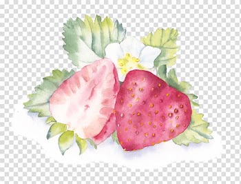 Painting Illustration, Small hand-painted watercolor fresh strawberry fruit transparent background PNG clipart
