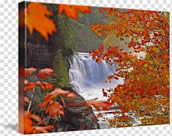 Painting Letchworth State Park Maple leaf Acrylic paint Nature, painting transparent background PNG clipart