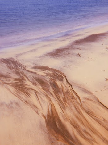 Painting Of A Seashore