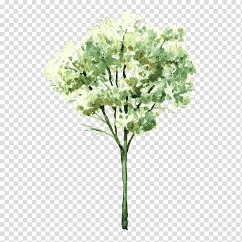 Painting of green plant, Watercolor painting Drawing Shrub Tree, tree,Trees transparent background PNG clipart