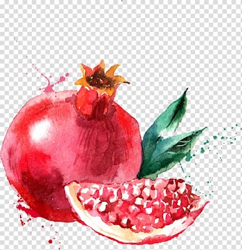 Painting of pomegranate, Watercolor painting Drawing Fruit Illustration, Red pomegranate transparent background PNG clipart