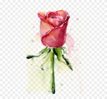 Painting Rose Watercolor By Olga Shvartsur - Canvas Paintings For Beginners Roses