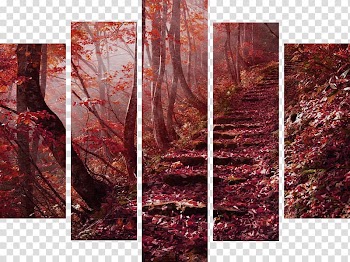 Painting Silk Canvas Advertising, painting transparent background PNG clipart
